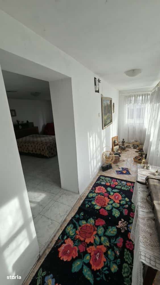 Casa Gologanu 100mp Teren cca 3200mp-7