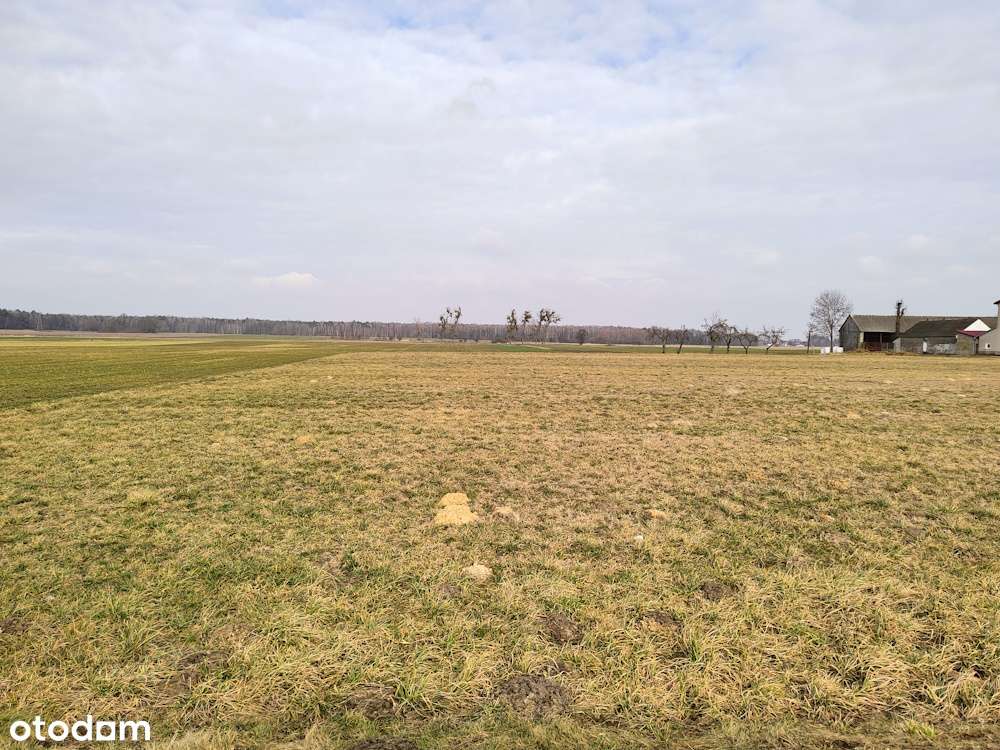 Działka z WZ w Makowie ul. Zabrodzie, 6 km od Radomia - Pełny obrazek: 5/8