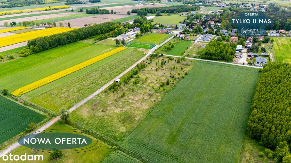 Działka 3000mk Kazimierz blisko szkoły - Pełny obrazek: 4/13