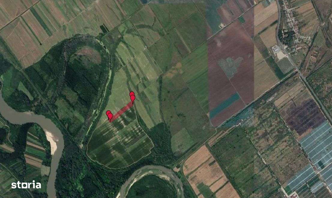 Teren extravilan Cotofanii din Fata 12,500 mp, Dolj - 3001407 - Imagine principală: 3/4