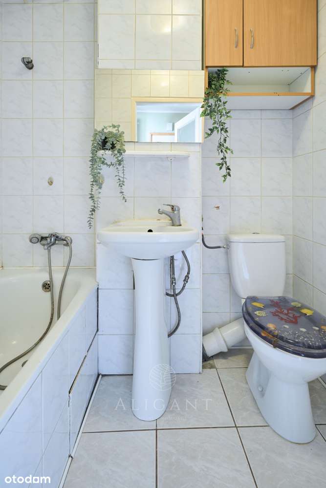 2 pokoje *Świetny układ *Blisko lasu *Do aranżacji-13