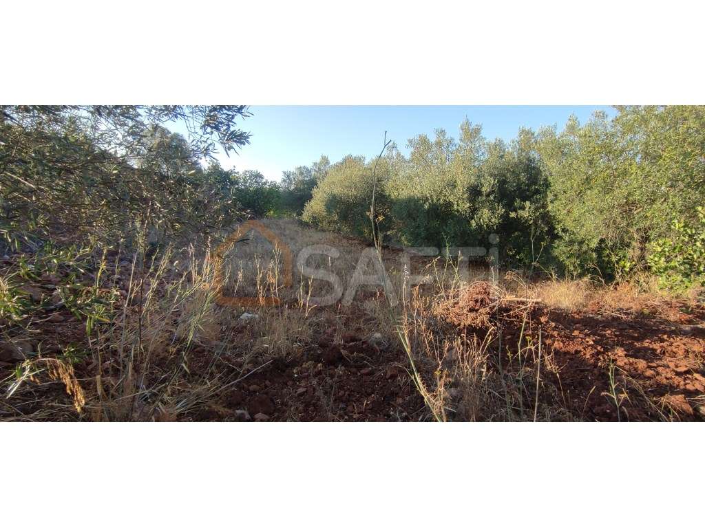 2 Lotes urbanos com ruínas - Grande imagem: 5/9