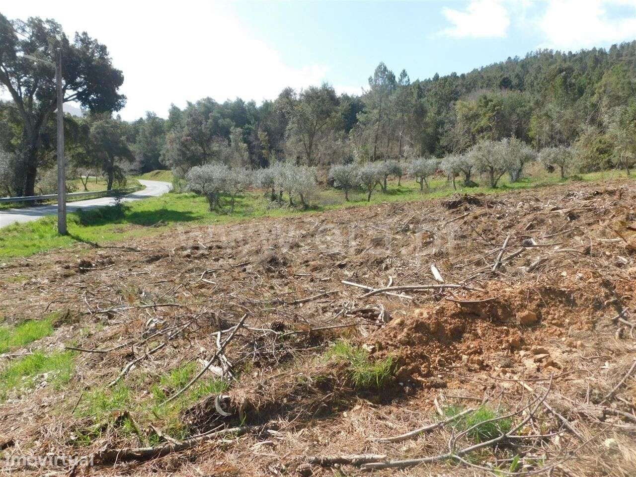Terreno / Fundão, Souto da Casa - Grande imagem: 3/4
