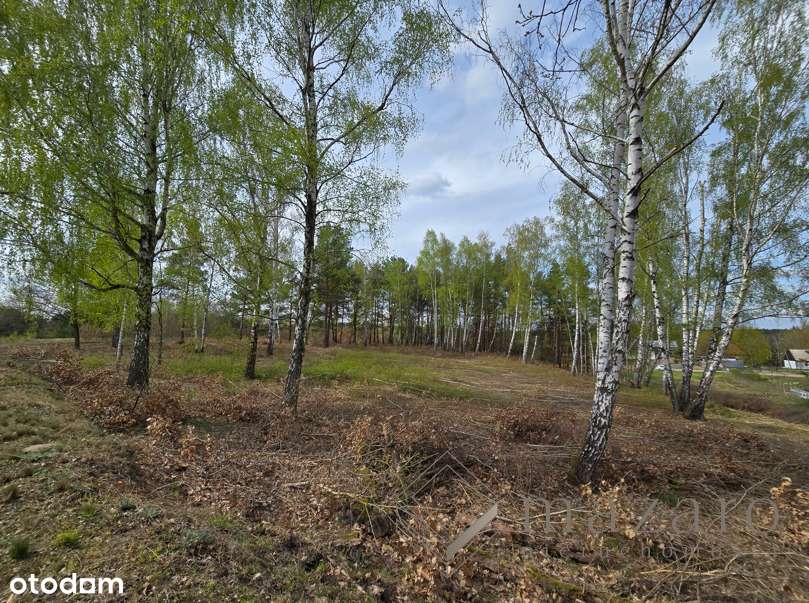 Grunt pod Osiedle Domów Jednorodzinnych Bydgoszcz - Pełny obrazek: 5/11