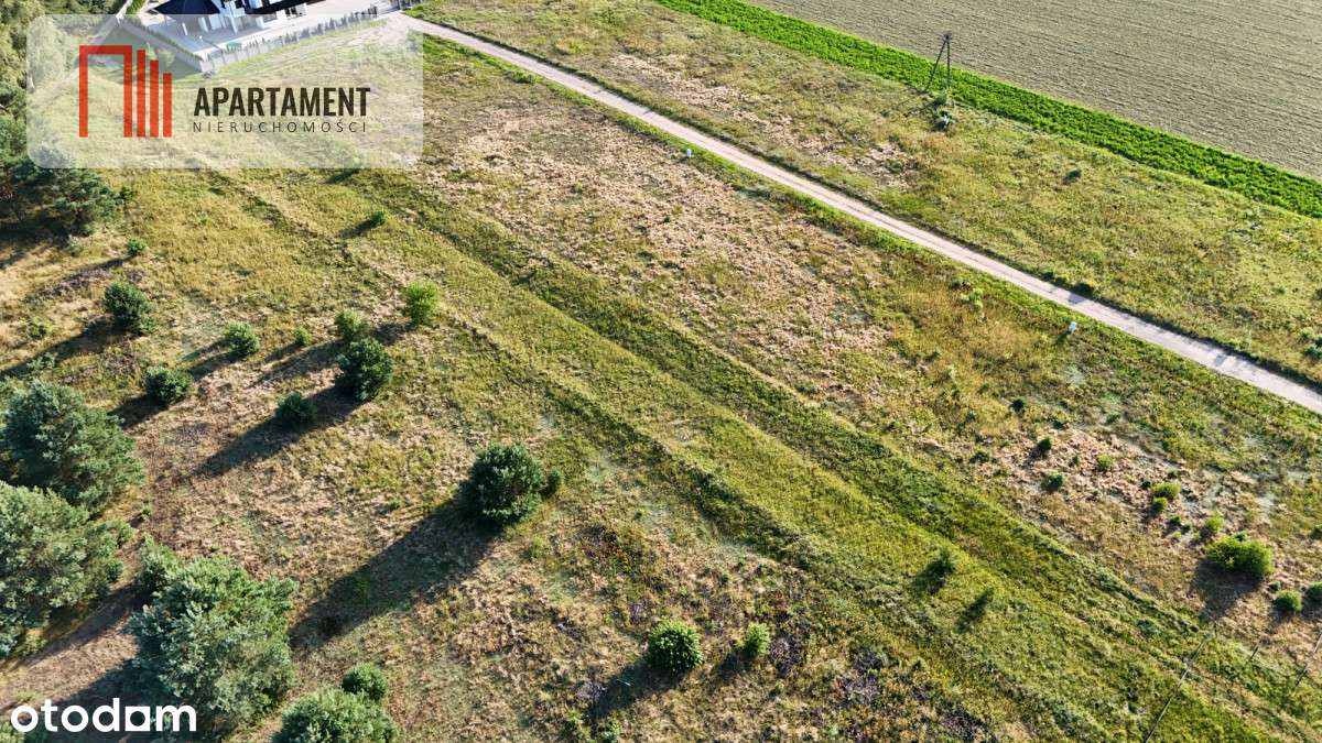 *atrakcyjna z WZ Wolwark, możliwość podziału - Pełny obrazek: 5/10