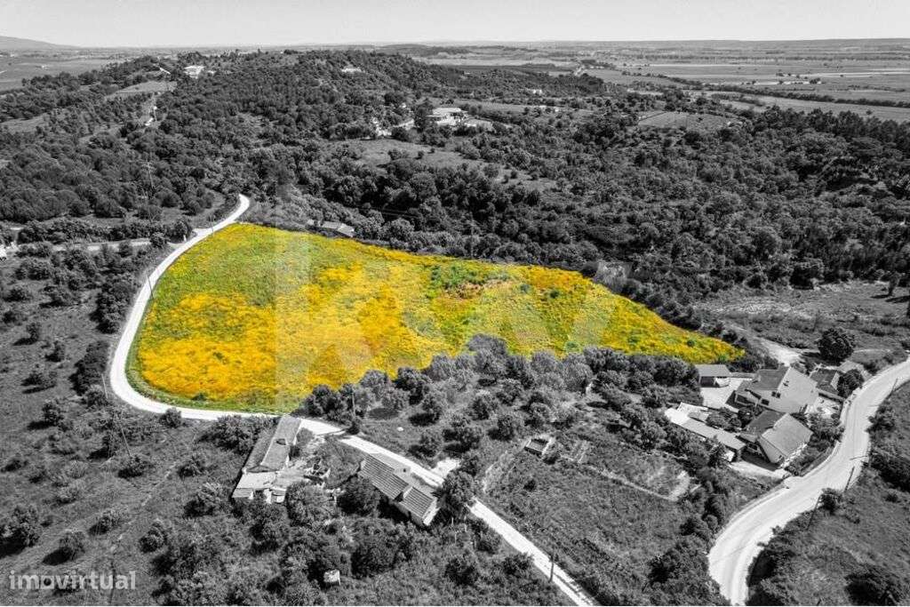 Magnífico terreno, em Santarém, Construção até 3000m2, em zona de exce - Grande imagem: 3/20