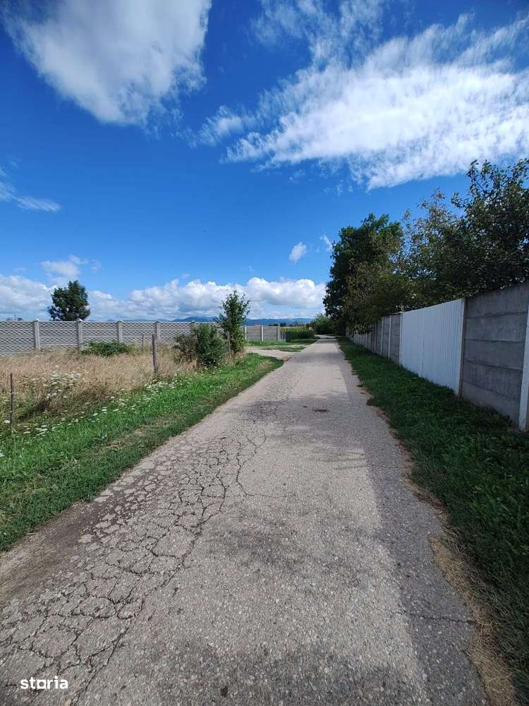 Teren intravilan Bacia,1700 de pătrați, utilitățile in apropiere - Imagine principală: 2/4
