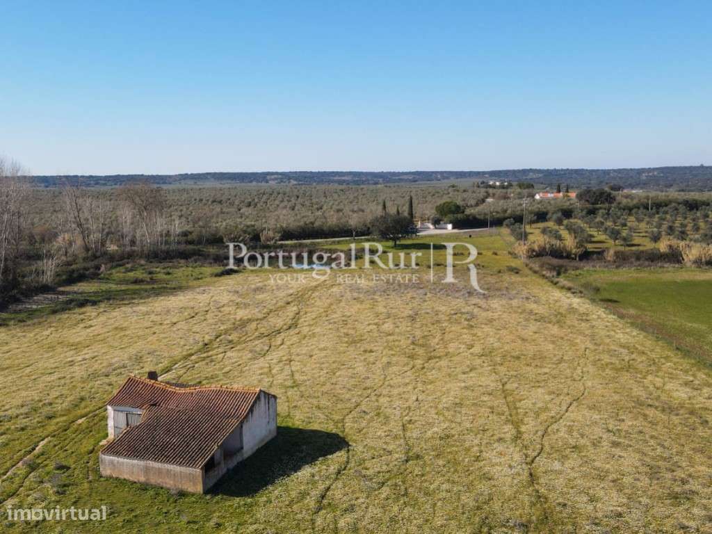 Quinta com 29 hectares em Avis - Grande imagem: 2/60