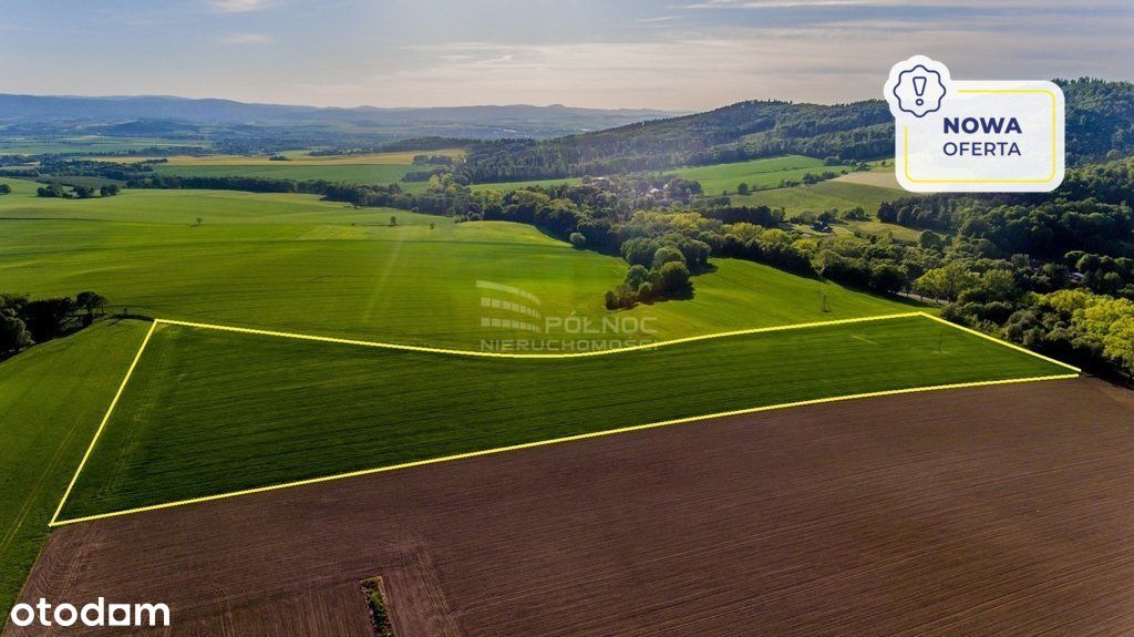 Działka rolna 4,79 H Kłodzko Podzamek