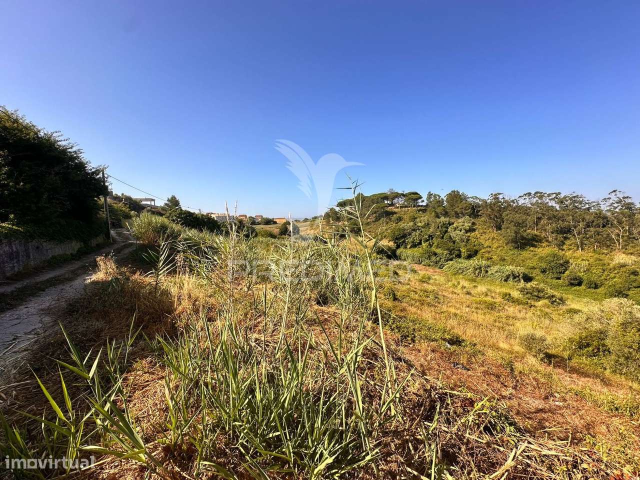 Terreno - Grande imagem: 4/12