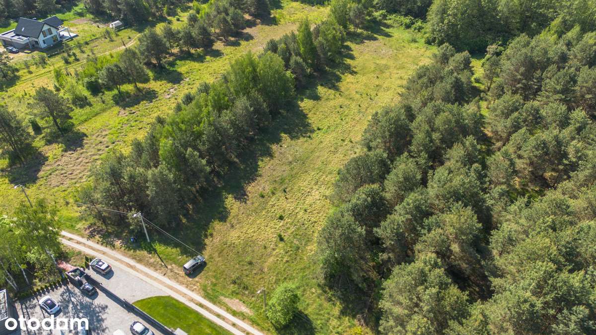 Działka  Lewickie 4700 m - Pełny obrazek: 4/7