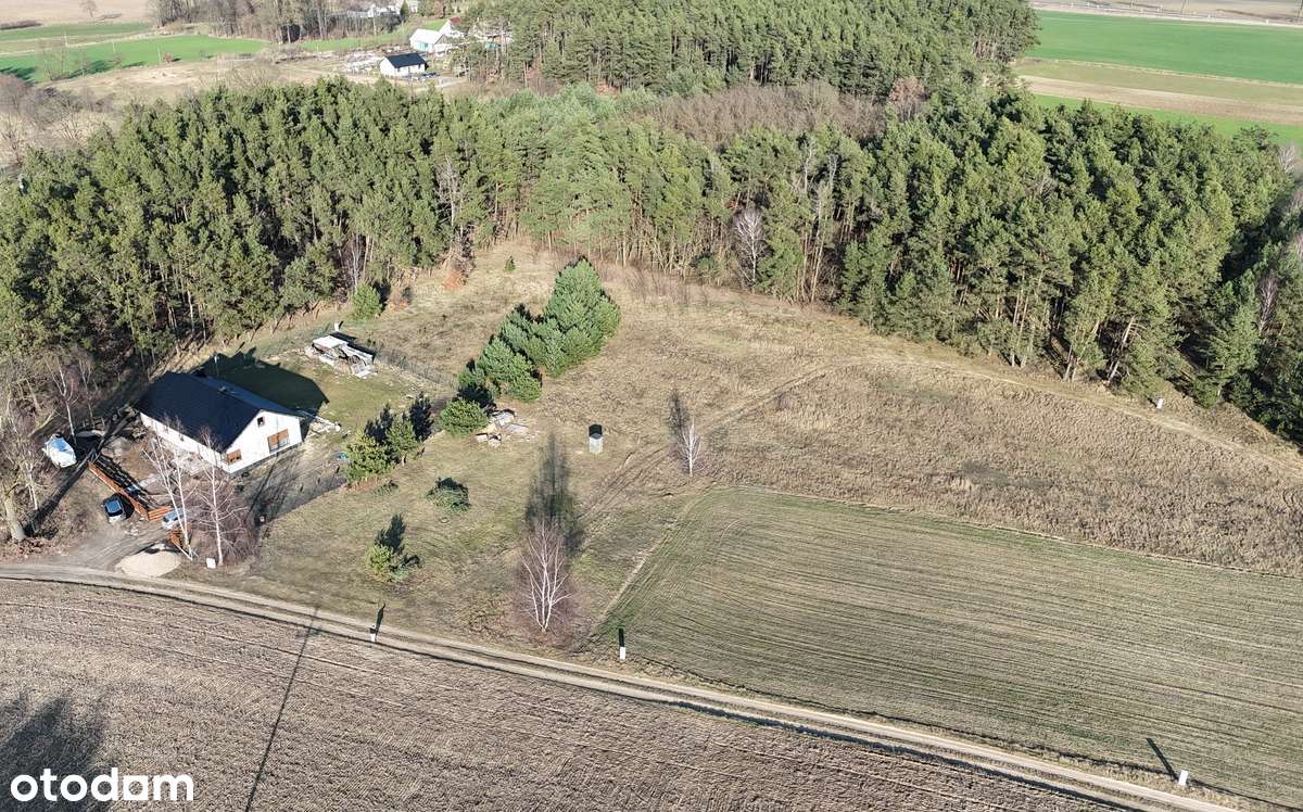 Działki budowlane / las / bez pośredników / różne obszary do wyboru - Pełny obrazek: 3/5