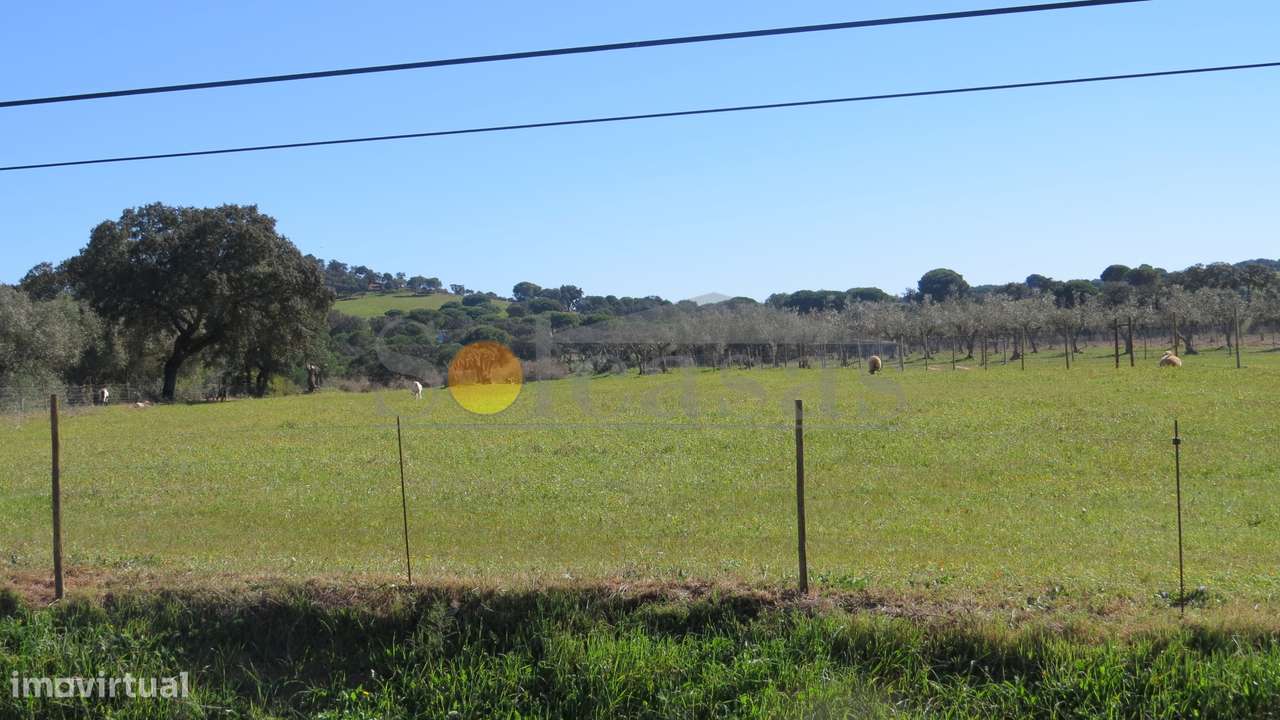 Quinta com duas habitações em Sta. Catarina - Alcácer do Sal-8
