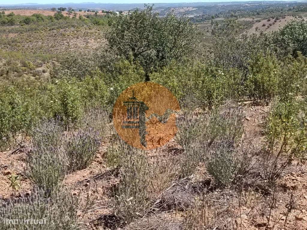 TERRENO COM 34.700 M2 - POSSIBILIDADES DE CONSTRUIR UM ARMAZEM - PR...-32