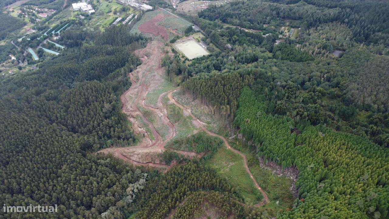 Terreno - Santo António da Serra - Santa Cruz - Grande imagem: 5/20