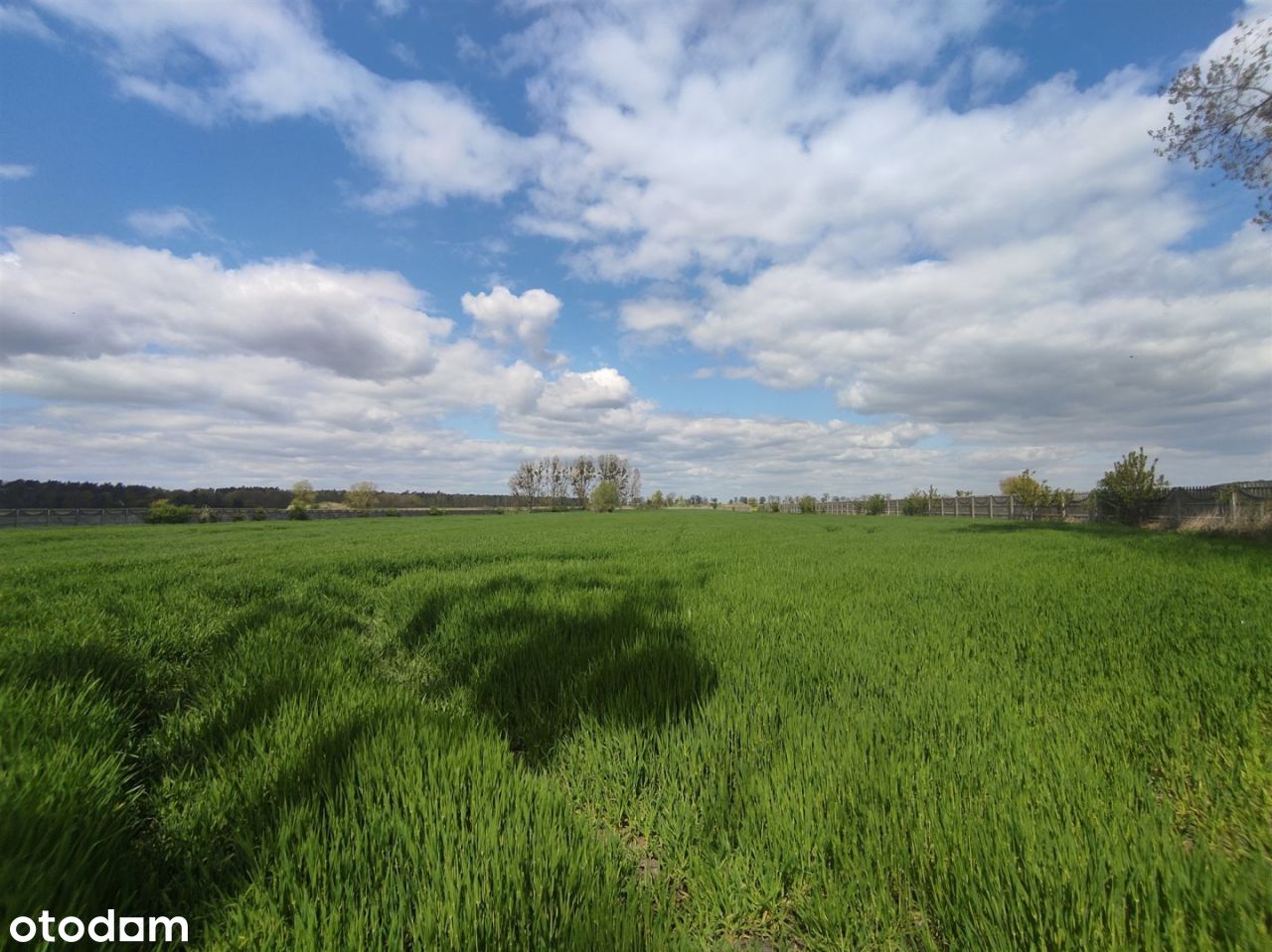 Działka rolna 2,040 Ha, Lulinek, gm. Szamotuły