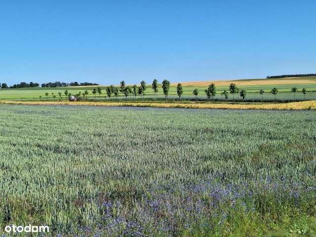 Dom dwurodzinny, blisko Pkp, starówki,6 pokoi-17