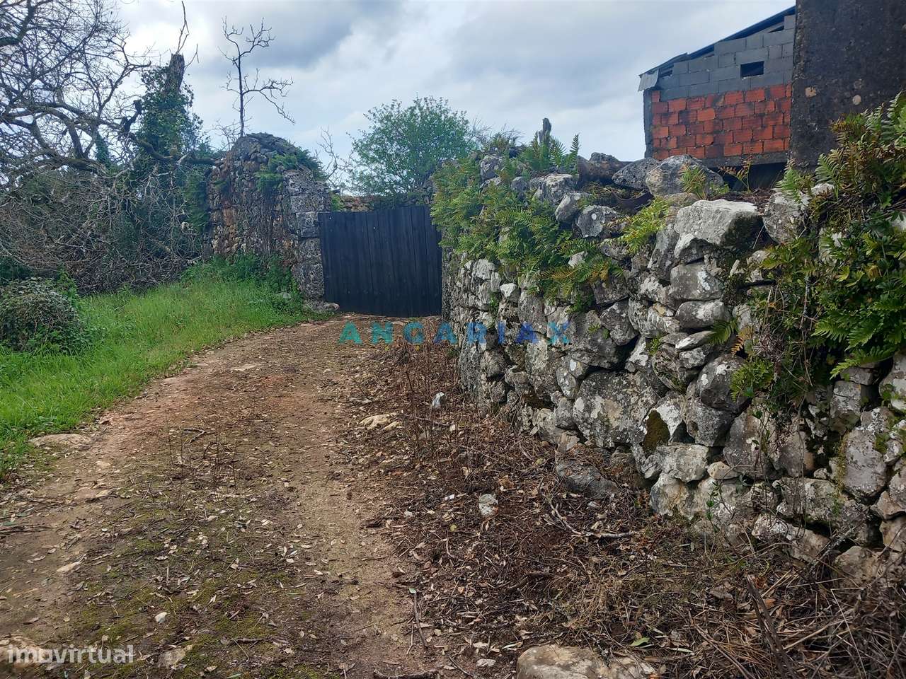 ANG1560 - Quinta para Venda em Santiago da Guarda, Ansião - Grande imagem: 3/13