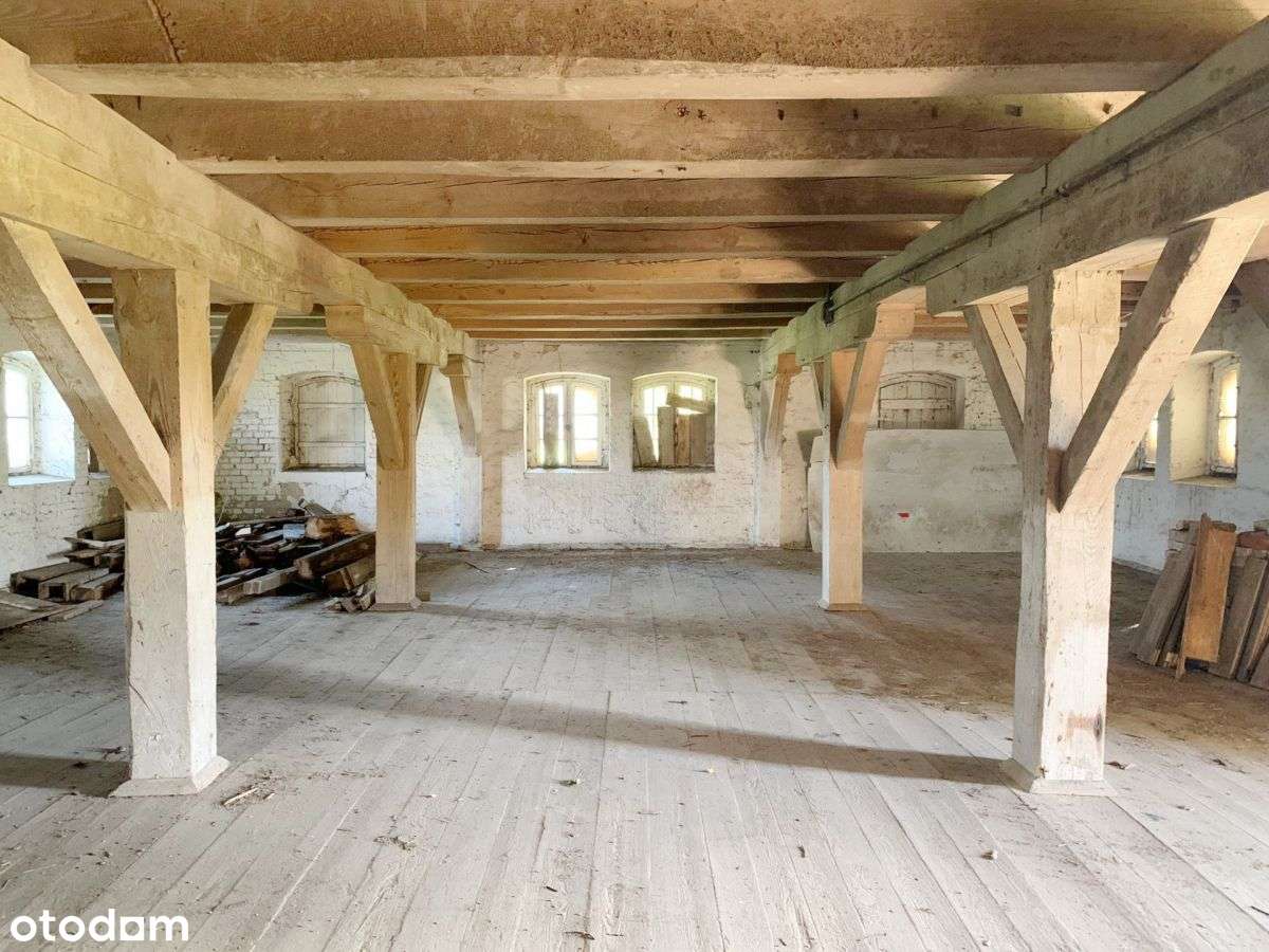 Działka zagospodarowana budynkiem z potencjałem usługowym - Pełny obrazek: 5/9