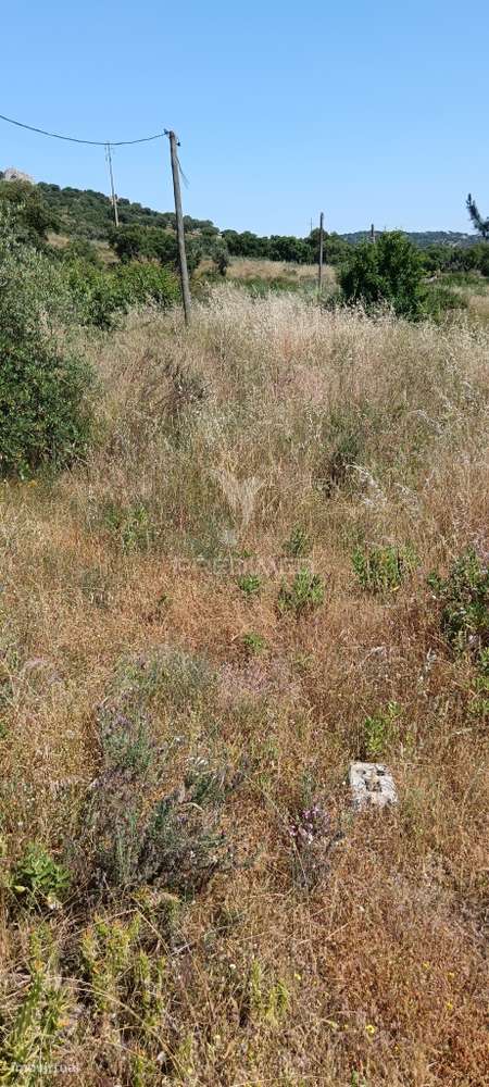 lote para construção - Grande imagem: 3/5