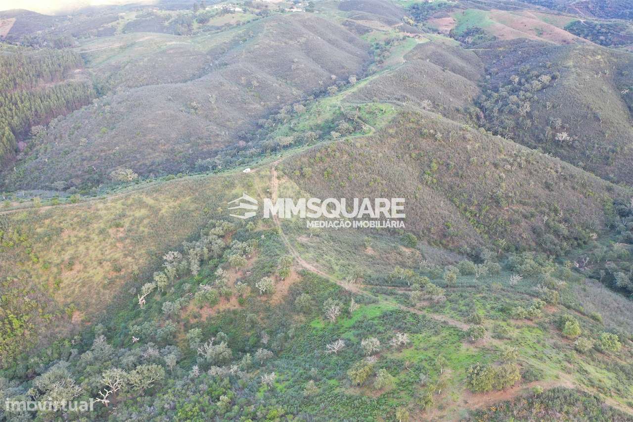 Terreno Rústico  Venda em Santana da Serra,Ourique - Grande imagem: 4/10