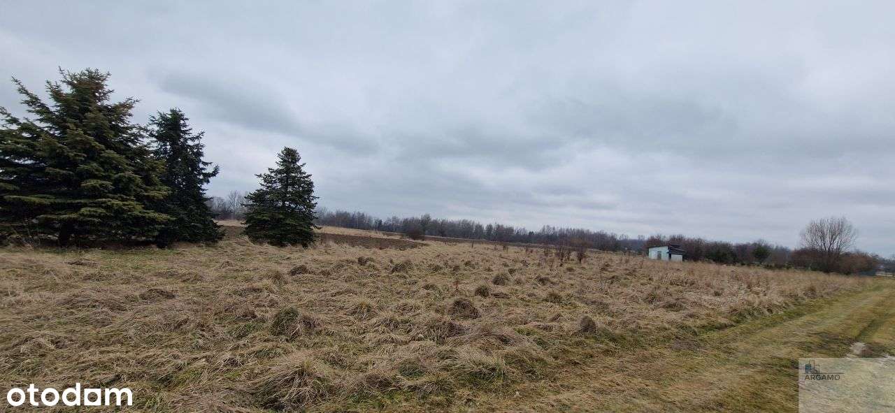 działka Rolna lub weekendowy Chill - Pełny obrazek: 3/8