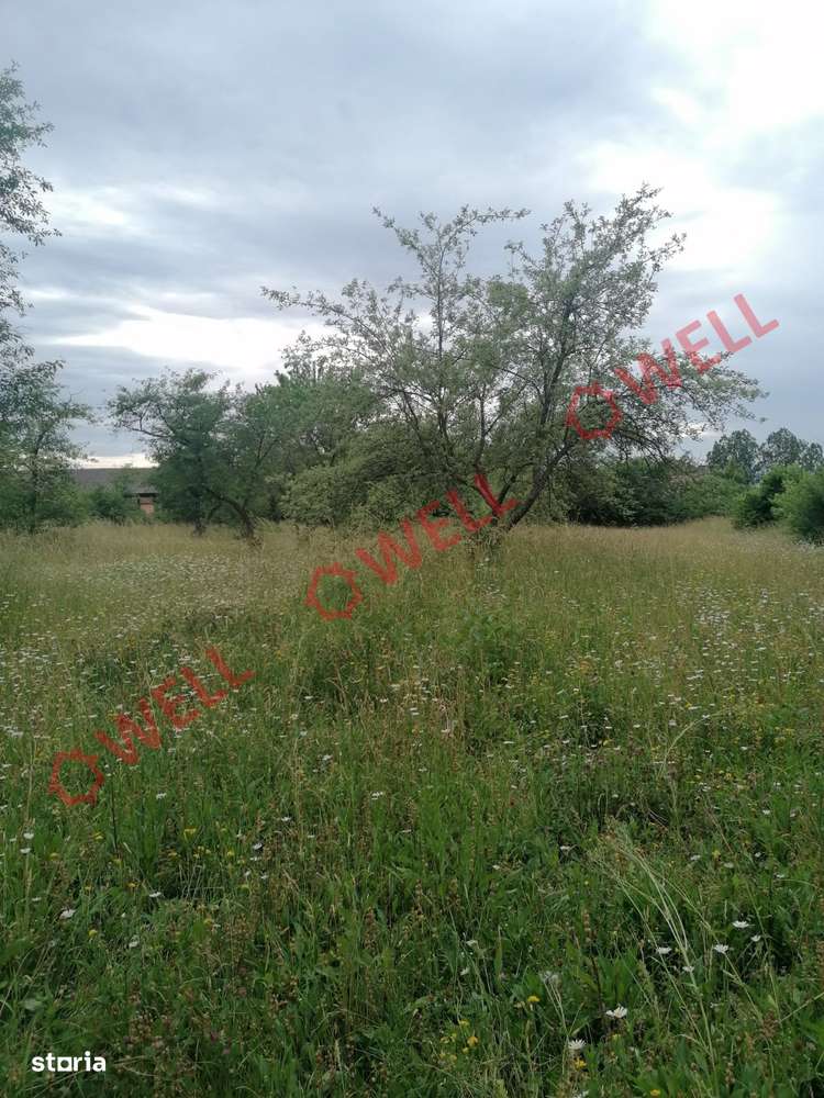 De vânzare două parcele de teren intravilan în Harale (Ghelința) - Imagine principală: 4/7