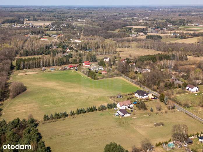 448766 - Pełny obrazek: 4/20