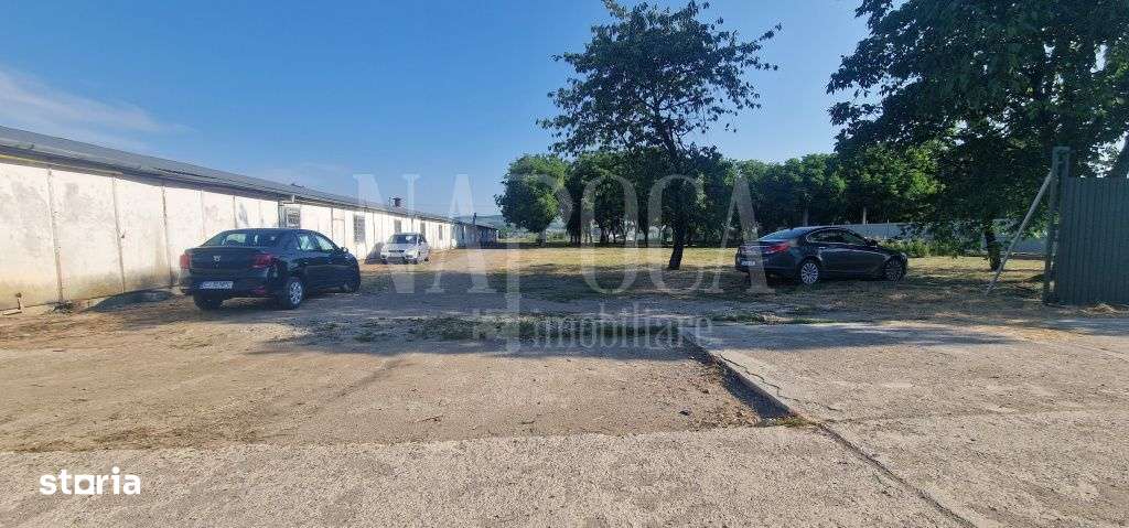 Spatiu industrial de vanzare in Gilau - Imagine principală: 2/10