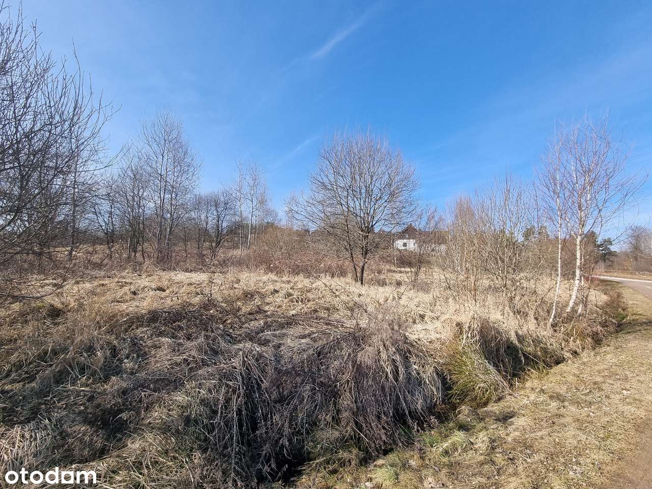 Działka w cichym miejscu blisko lasu-2