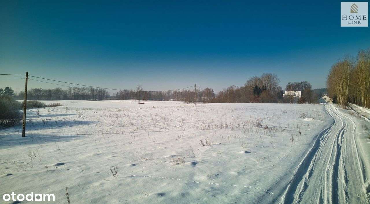 Pakiet 7 działek pod Olsztynem, Klebark Wielki-14