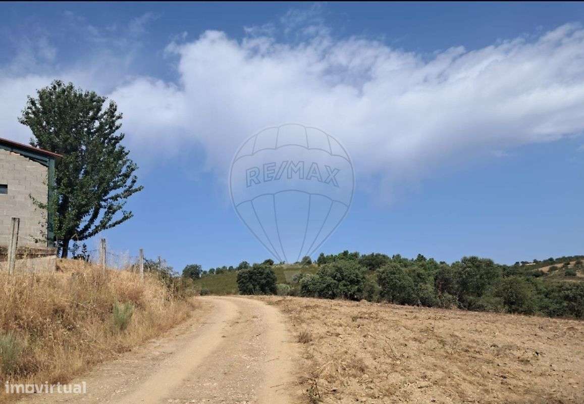 Armazém  para venda-12