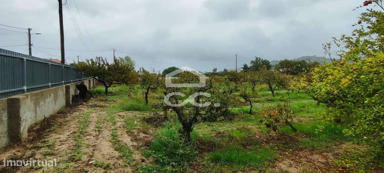 Terreno para construção com 7.415 m² em Cabanas, Quinta do Anjo, Palme-4