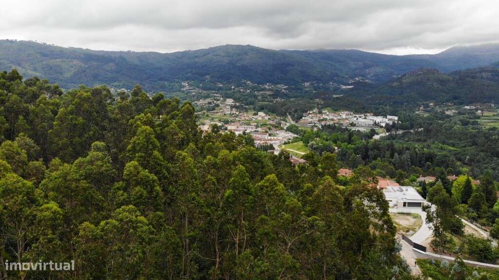Terreno para Construção, com projeto aprovado para 34 lotes- Vieira do - Grande imagem: 5/7