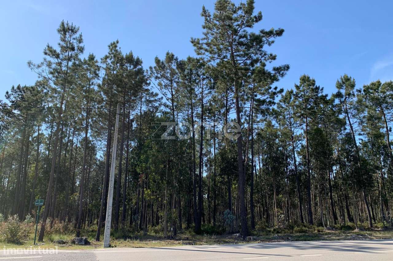 Terreno Rustico - Grande imagem: 2/15