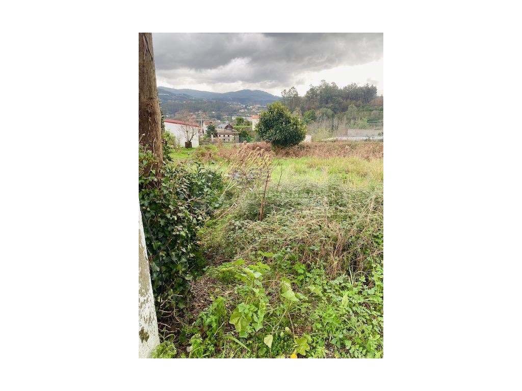 TERRENO PARA CONSTRUÇÃO | PESSEGUEIRO DO VOUGA - Grande imagem: 4/6