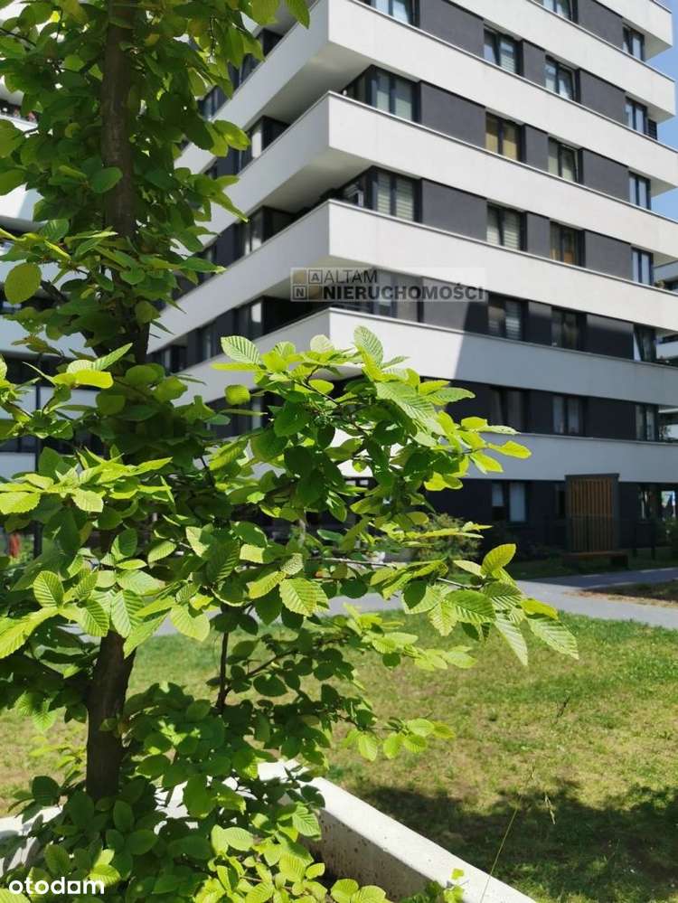 2pok 40 m² balkon|sierpień'26|widok na zieleń|0% - View 5