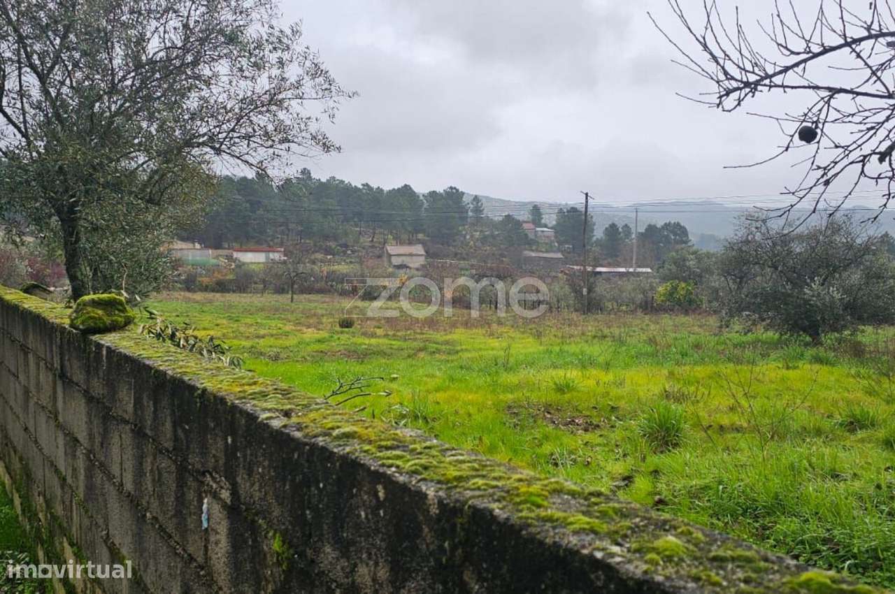 Terreno – Presandães, Alijó - Grande imagem: 4/5