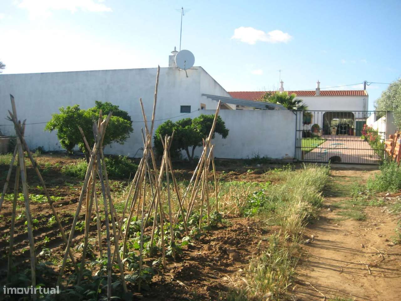 Herdade Alentejana - Grande imagem: 3/21