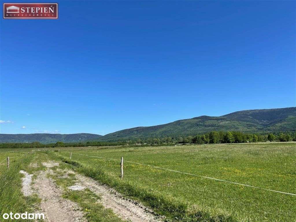 Widokowa działka 2392 m². 2 km do Karpacz - Pełny obrazek: 3/10