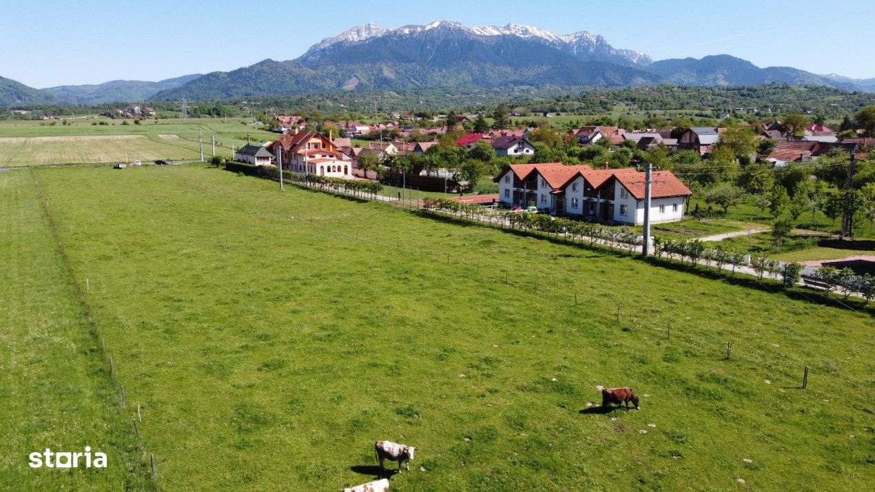 Teren plat P +4 Bran, panoramic munti, DN73, toate utilitatile-2