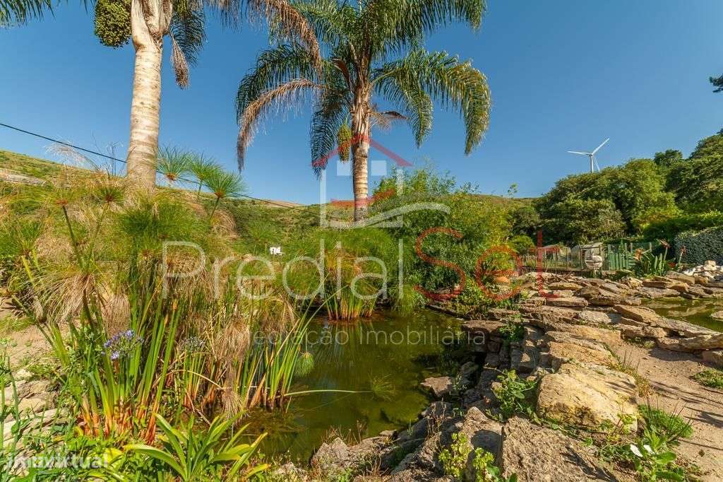 Quinta com Moradia de 6 assoalhadas com piscina - Loures-Lisboa-48