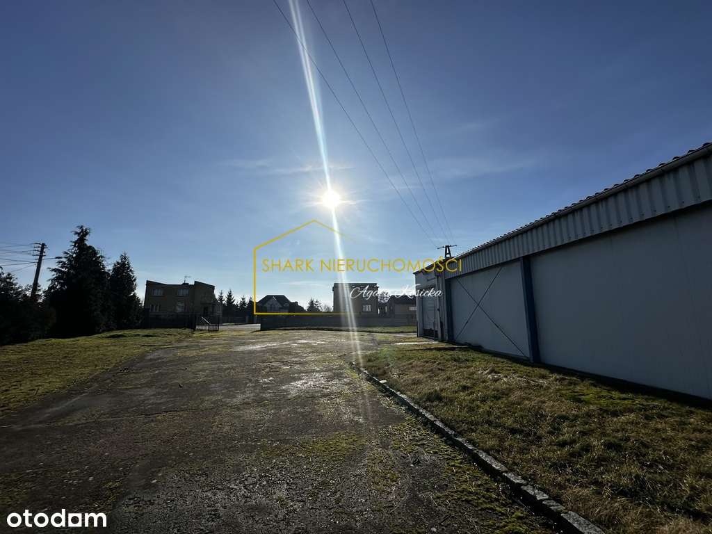 *Promo* z potencjałem na sprzedaż! - Pełny obrazek: 4/9