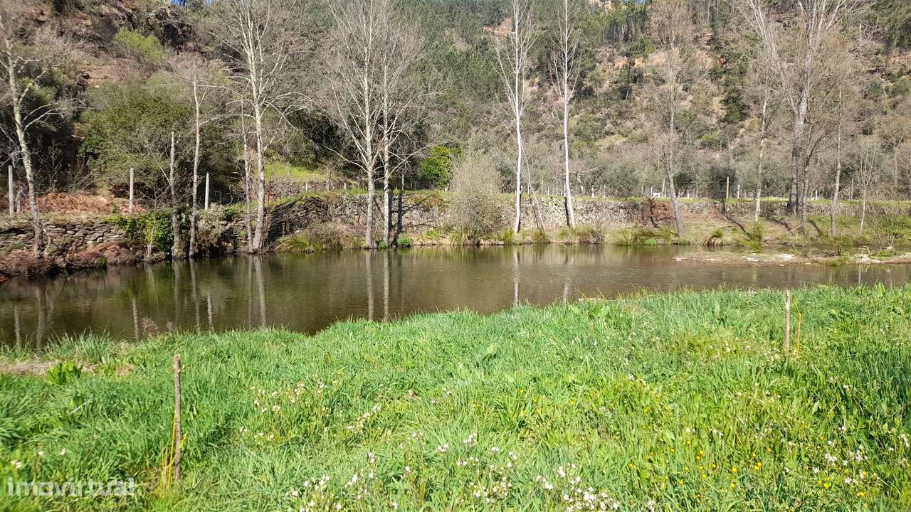 Terreno Rústico  Venda em Sarzedas,Castelo Branco - Grande imagem: 4/15