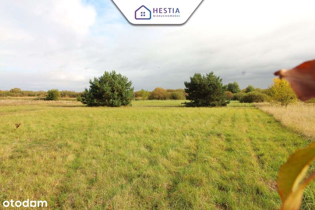 Duża działka z linią brzegową jeziora Miedwie - Pełny obrazek: 5/6