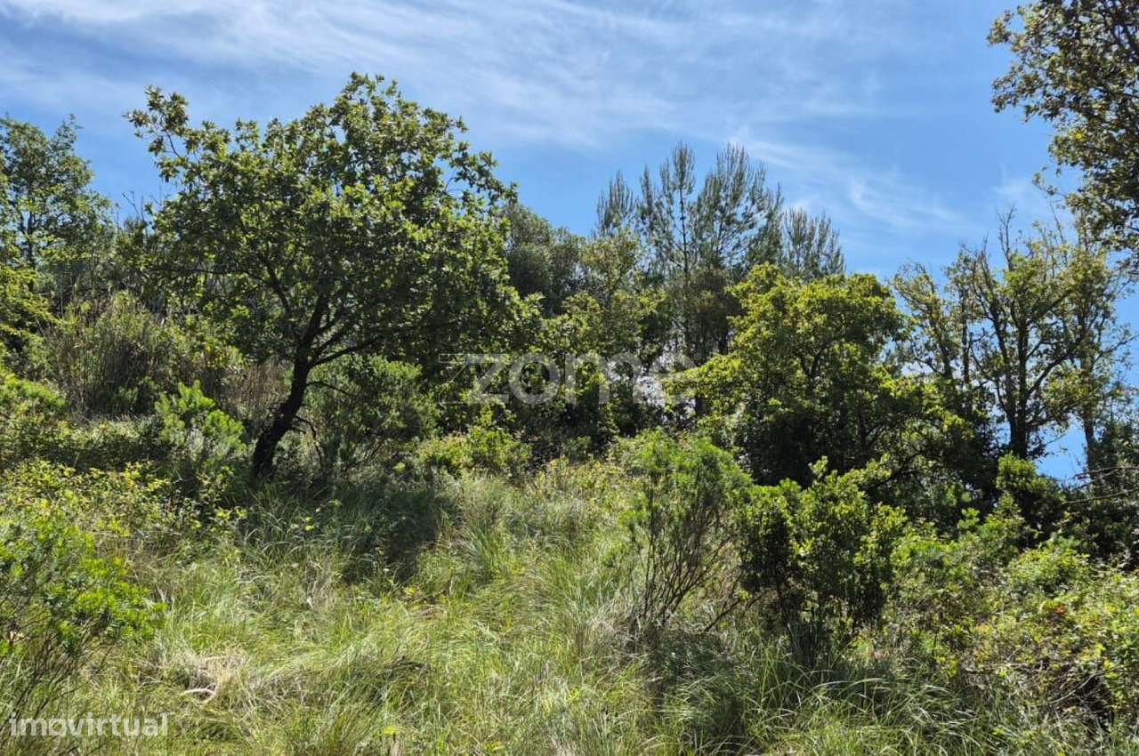 Terreno Casal Teles, Meca-4