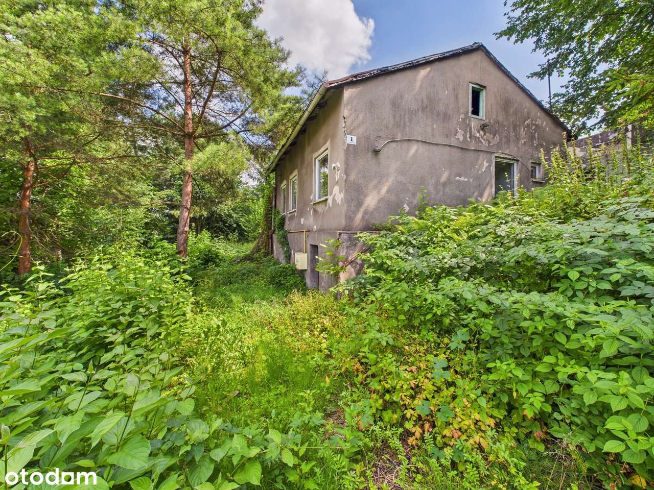 Zielona Działka z Własnym Źródłem i Stawem w Świetnej Lokalizacji!-14