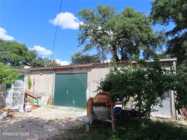 Quinta  para venda-19