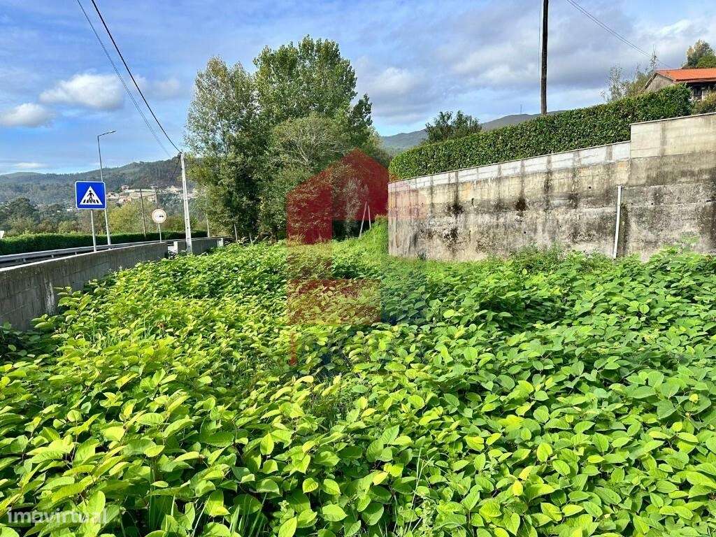 Terreno para construção, Terras de Bouro - Grande imagem: 4/20