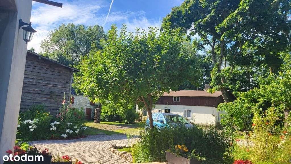 Wyjątkowe siedlisko z potencjałem.-6